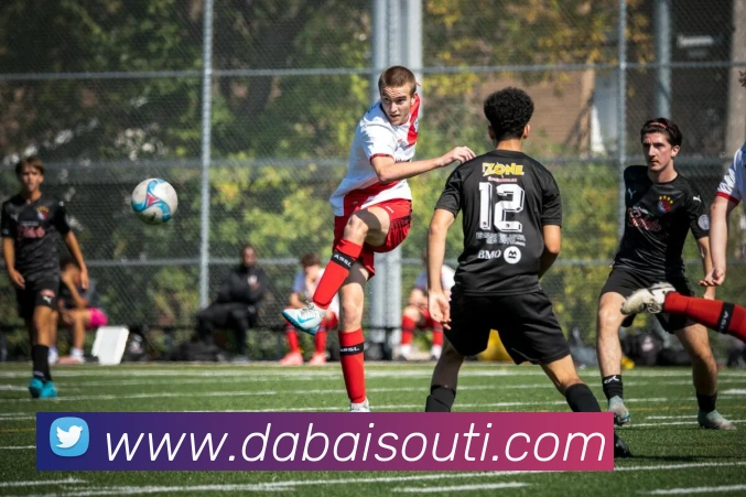 星空官方平台发展历程